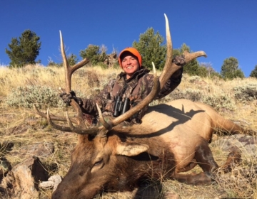 SNS OUTFITTER BULL ELK WYOMING 2017 8